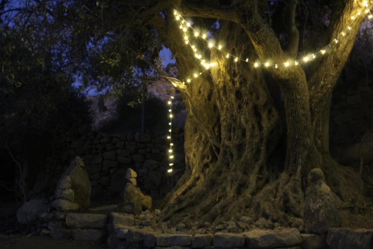 Hobbit Village 达纳 外观 照片