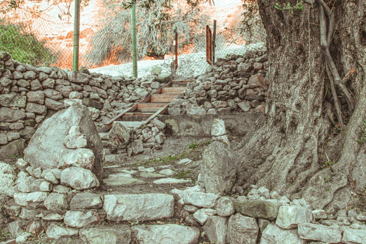Hobbit Village 达纳 外观 照片
