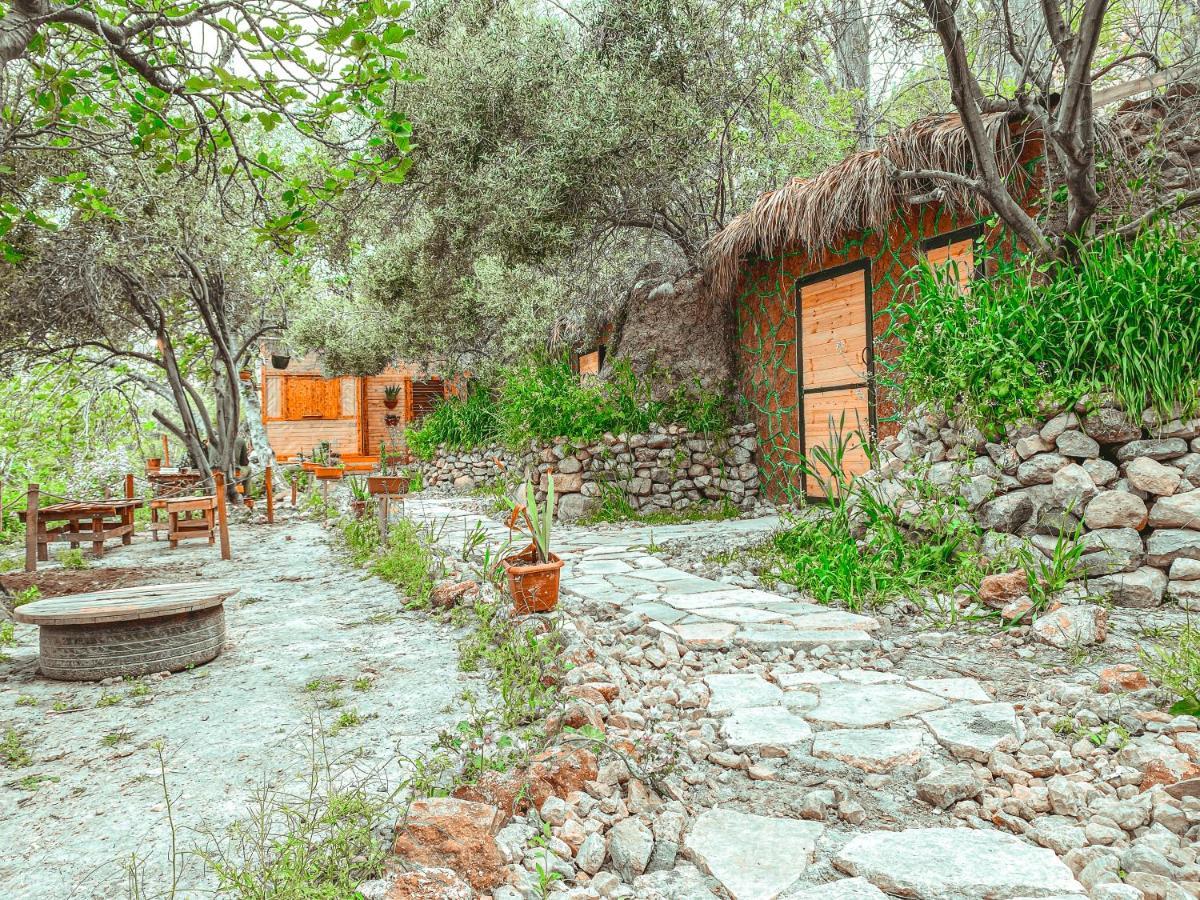 Hobbit Village 达纳 外观 照片